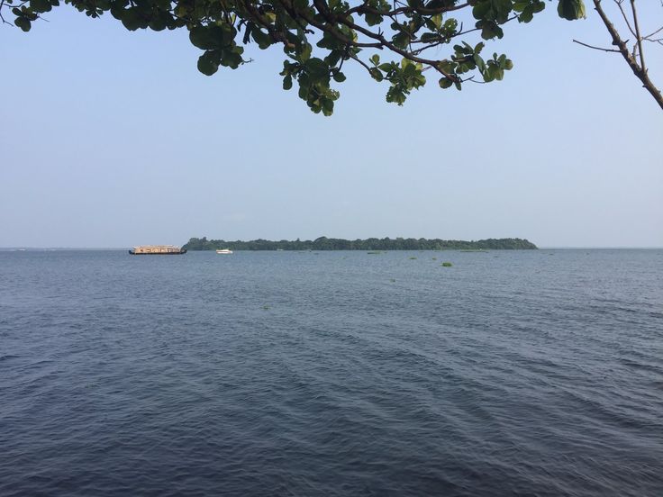 Bird Sanctuary